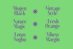 Kushers - Serif Display Typeface Product Image 16