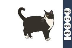 Black and white cat standing looking sideways vector illustr Product Image 1