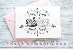 Swans black white vintage ornament butterfly wedding cart Product Image 4