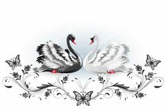 Swans black white vintage ornament butterfly wedding cart Product Image 1