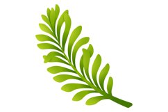 Cartoon green branch. Natural leaves. Botanical element Product Image 1
