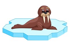 Funny baby walrus sitting on cartoon ice floe Product Image 1