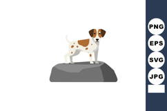 Jack Russell Terrier standing on gray rock vector illustrati Product Image 1