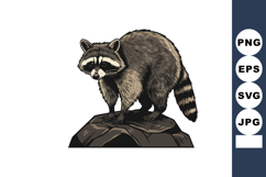 Raccoon standing on rock detailed wildlife animal vector ill Product Image 1