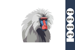 Mandrill monkey with colorful face and gray fur vector illus Product Image 1
