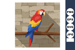 Scarlet Macaw perched on branch with stone wall background c Product Image 1