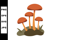 Group of orange mushrooms growing on soil with green grass v Product Image 1