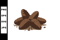 Pine cones natural forest elements brown color vector illust Product Image 1