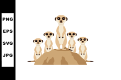 Meerkat Family Standing on Rock Watching Surroundings Wildli Product Image 1