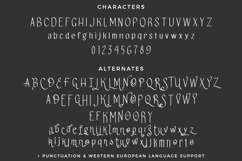 La Llorona Sans Font Product Image 10