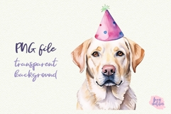 3 Birthday Labrador Retriever Clipart in a Party Hat PNG Product Image 3