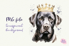 3 Labrador Retriever Clipart in a Birthday Crown PNG Product Image 3