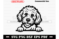 Peeking Labradoodle Dog SVG PNG DXF EPS PDF Product Image 1
