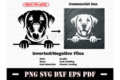 Inverted Labrador Retriever Peeking Design SVG PNG DXF EPS P Product Image 1