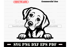 Peeking Labrador Retriever Dog SVG PNG DXF EPS PDF Product Image 1