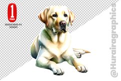 Labrador Retriever dog clipart- PNG File Product Image 1