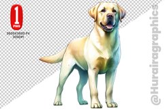 Labrador Retriever dog clipart- PNG File Product Image 1