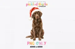 A holiday dog digital graphic featuring a chocolate Labrador painted in warm brown tones with a softly textured watercolor finish.