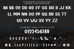 Ladies Charm Product Image 7