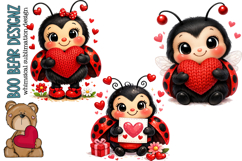 Lady bug Valentine Product Image 1