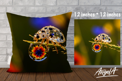 Pillow cover sublimation, fantasy ladybug sublimation PNG Product Image 1