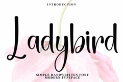 Ladybird Product Image 1