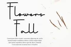 Ladybird Product Image 3