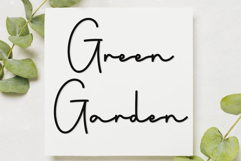 Ladybird Product Image 7