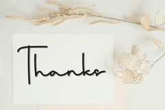 Ladybird Product Image 8