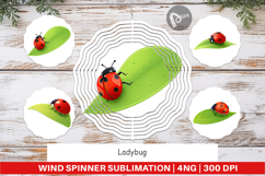 Wind Spinner Spring Ladybug Product Image 1