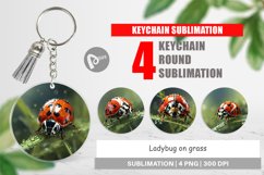 Keychain Ladybug on grass Product Image 1