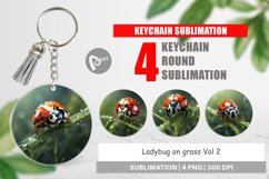 Keychain Ladybug on grass Product Image 1