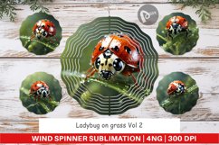 Wind Spinner Ladybug on grass Product Image 1