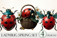 Whimsical Ladybug Spring Clipart PNG Product Image 1