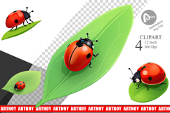 Spring Ladybug Clipart Product Image 1