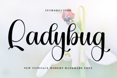 Ladybug Product Image 1