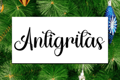 Ladybug Product Image 6