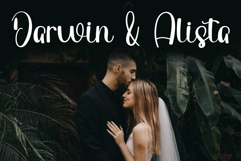 Ladybug Product Image 6