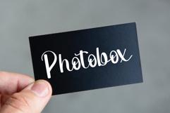 Ladybug Product Image 5