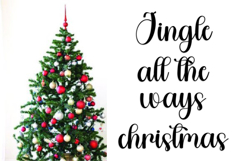 Ladybug Product Image 3