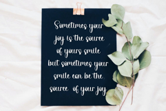 Ladybug Product Image 4