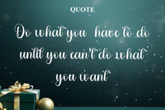 Ladybug Product Image 4