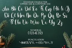 Ladybug Product Image 7