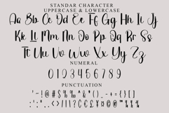 Ladybug Product Image 3