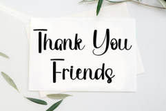 Ladybug Product Image 2