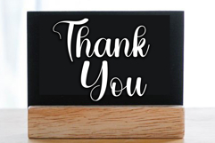 Ladybug Product Image 2