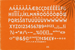 Laguna Tropic - Tropical Font Duo Product Image 12