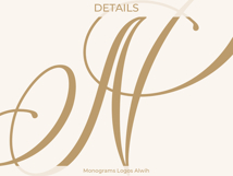 N Monogram Logo, Elegant Initial Monogram Product Image 4