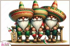 Happy Cinco De Mayo Gnome png, Sombrero Mexican Gnomes png Product Image 2