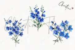 Watercolor Larkspur Flower | Floral Clipart Product Image 3